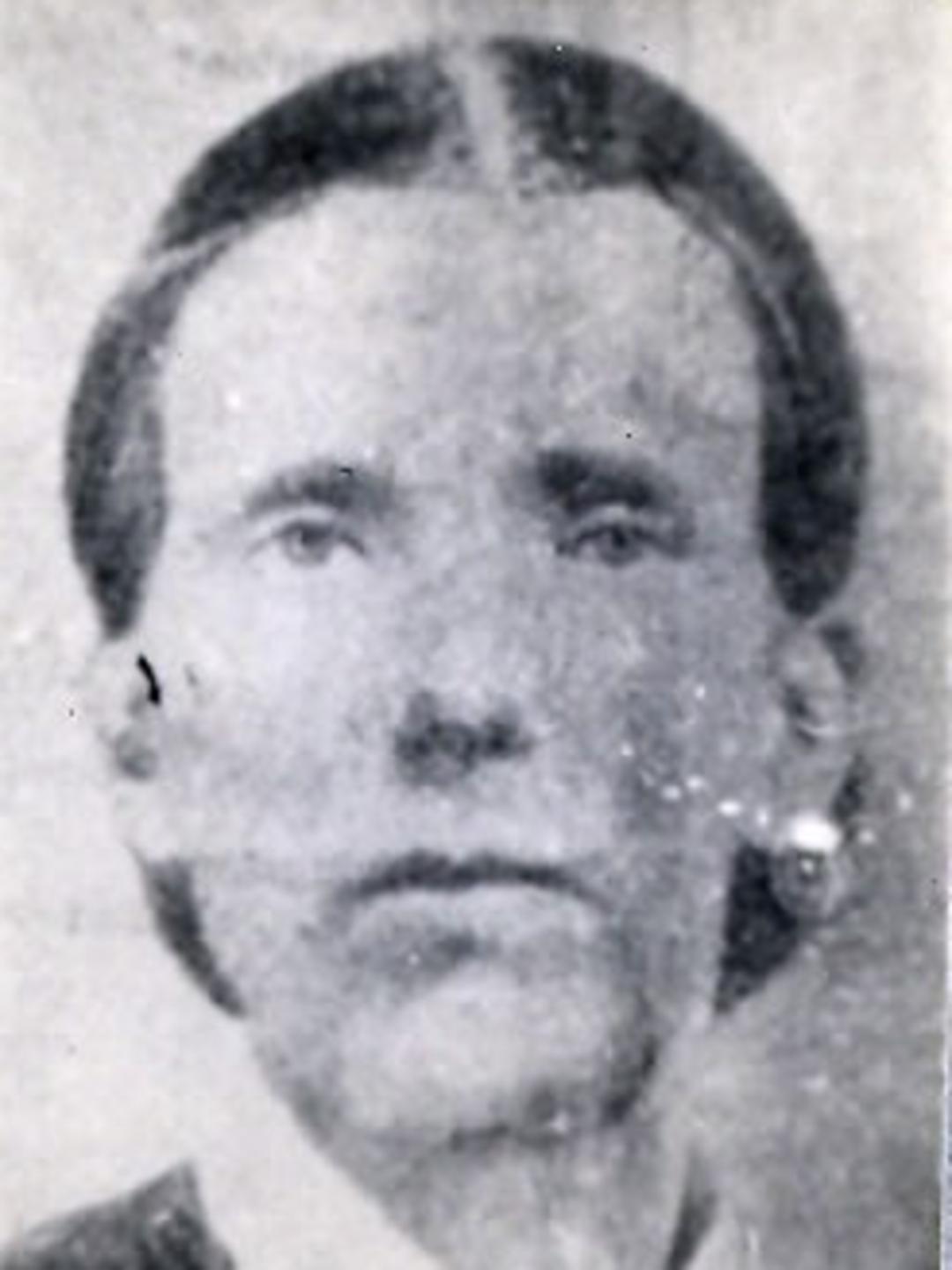 Hannah Widdison (1838 - 1871) Profile